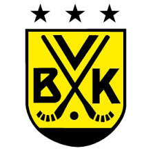 Vetlanda Bandyklubb VBK